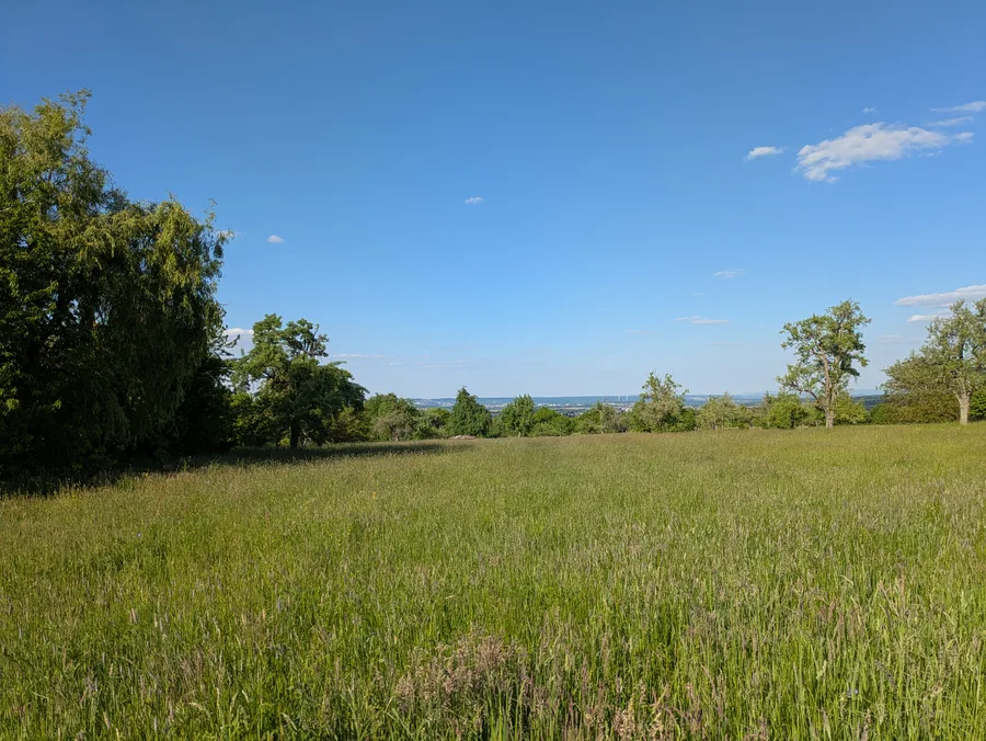 Bernhäuser Forst – Blick auf die Filderebene